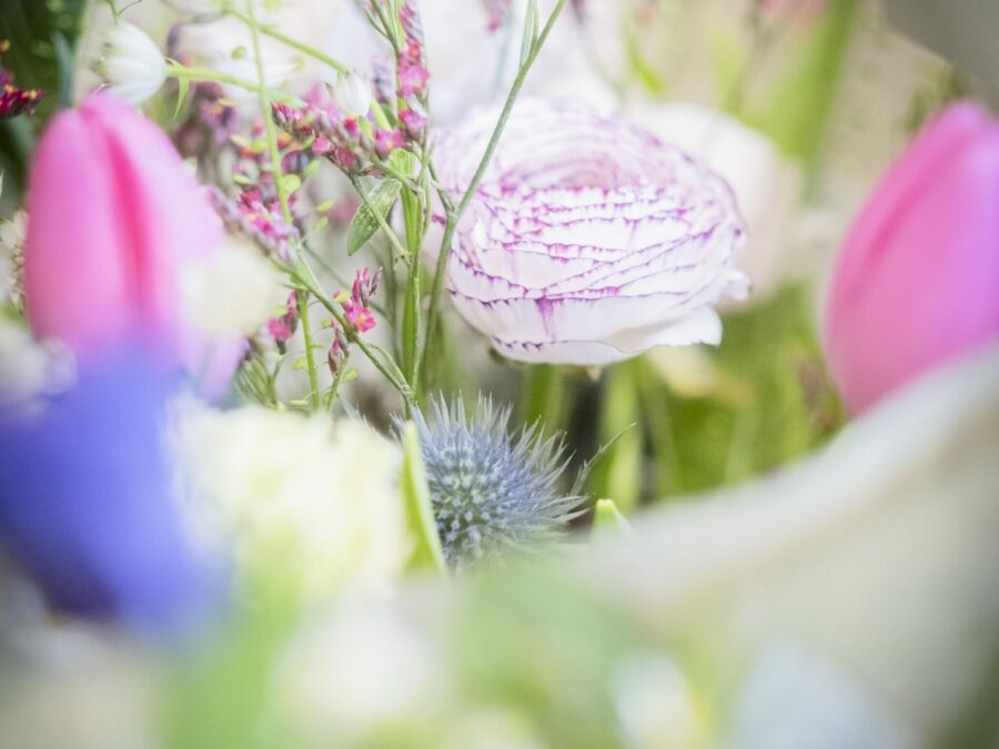 BAUME FLEUR-20250121-DSCF2099__Original