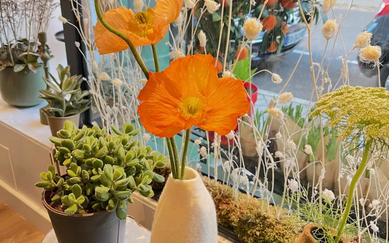 Fleurs pour les professionnels Fleurs pour les professionnels